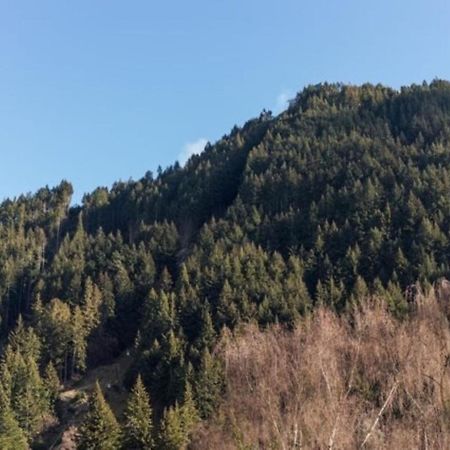 Mountain View City Apartment Queenstown Buitenkant foto