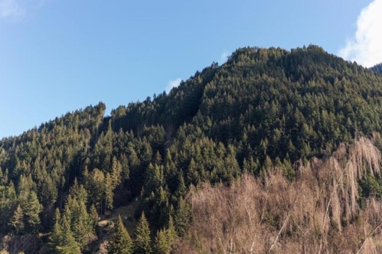 Mountain View City Apartment Queenstown Buitenkant foto